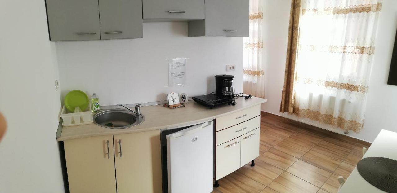 Antoniu Apartment Брашов Екстериор снимка