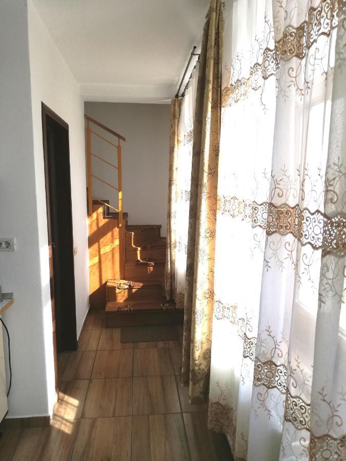 Antoniu Apartment Брашов Екстериор снимка